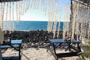 they covered the restaurant floor with sea shells - not peanut shells