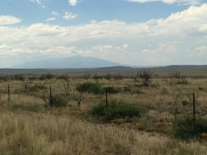 the desert in SE New Mexico