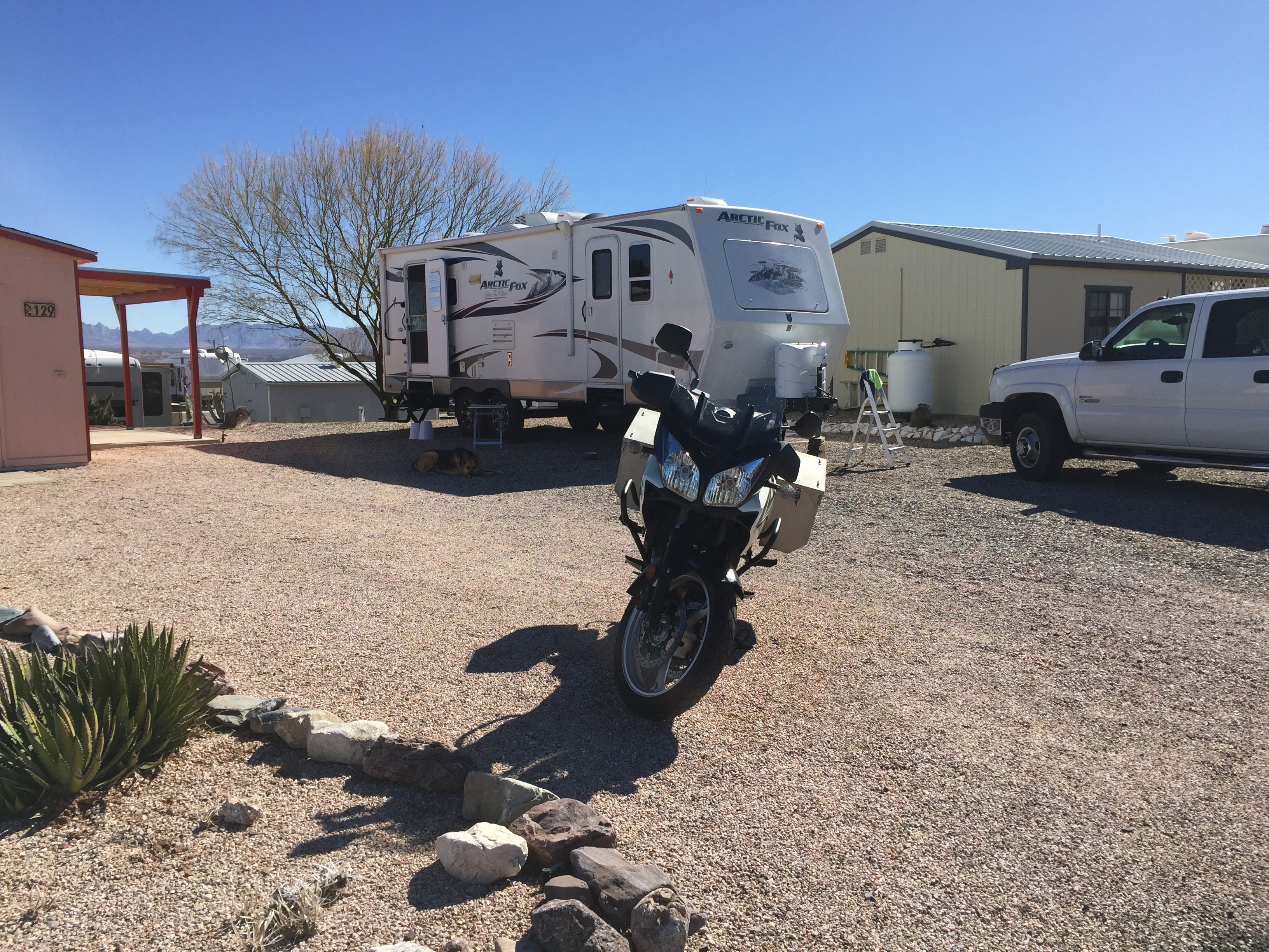 my RV and  motorcycle with Misty lying in the shade