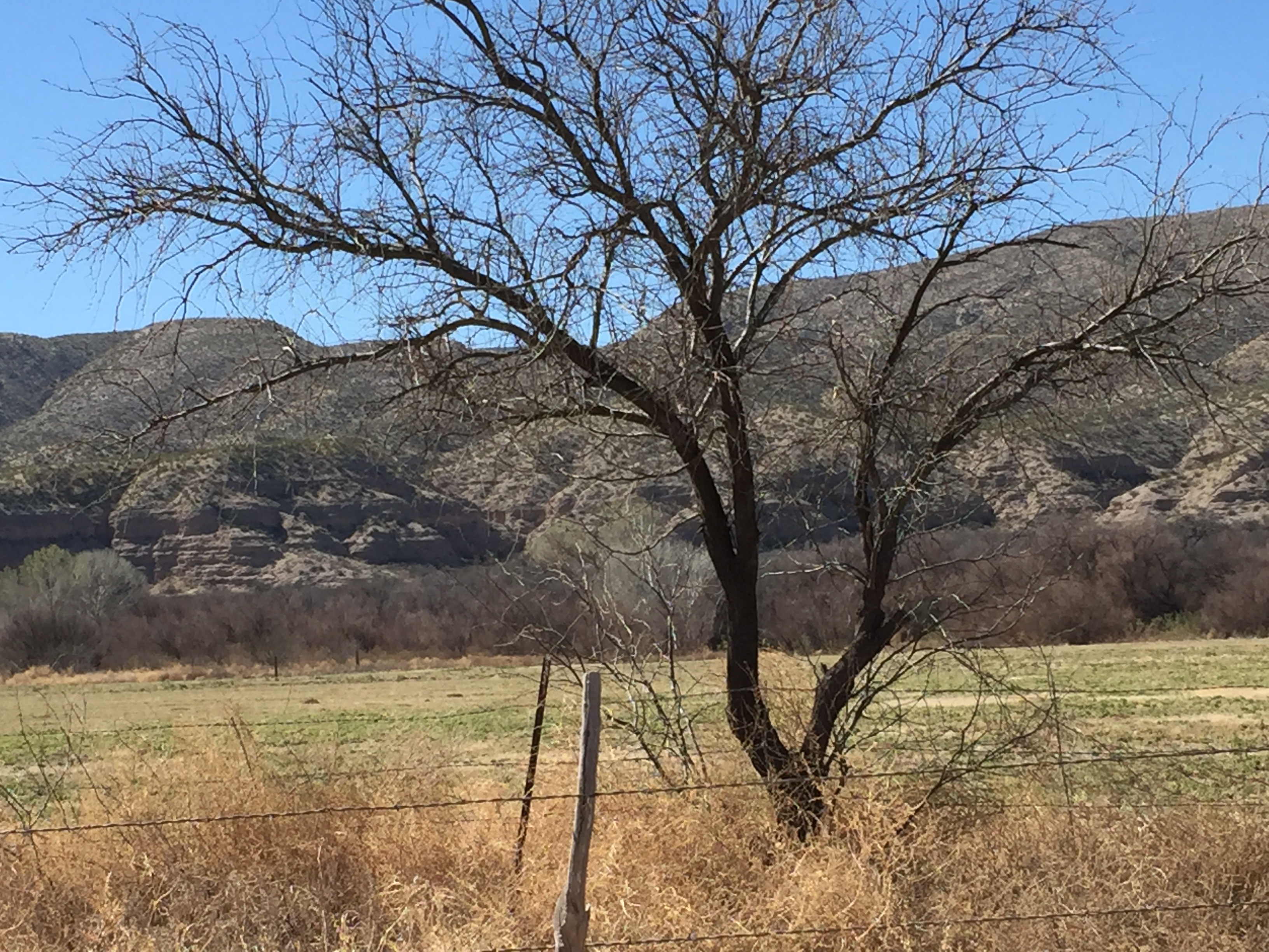 along Cascabel Road in Hot Springs Canyon