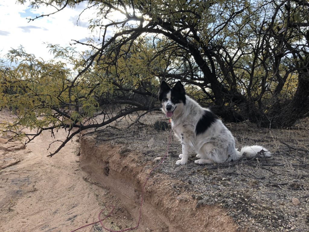 Maya posing by an arroyo